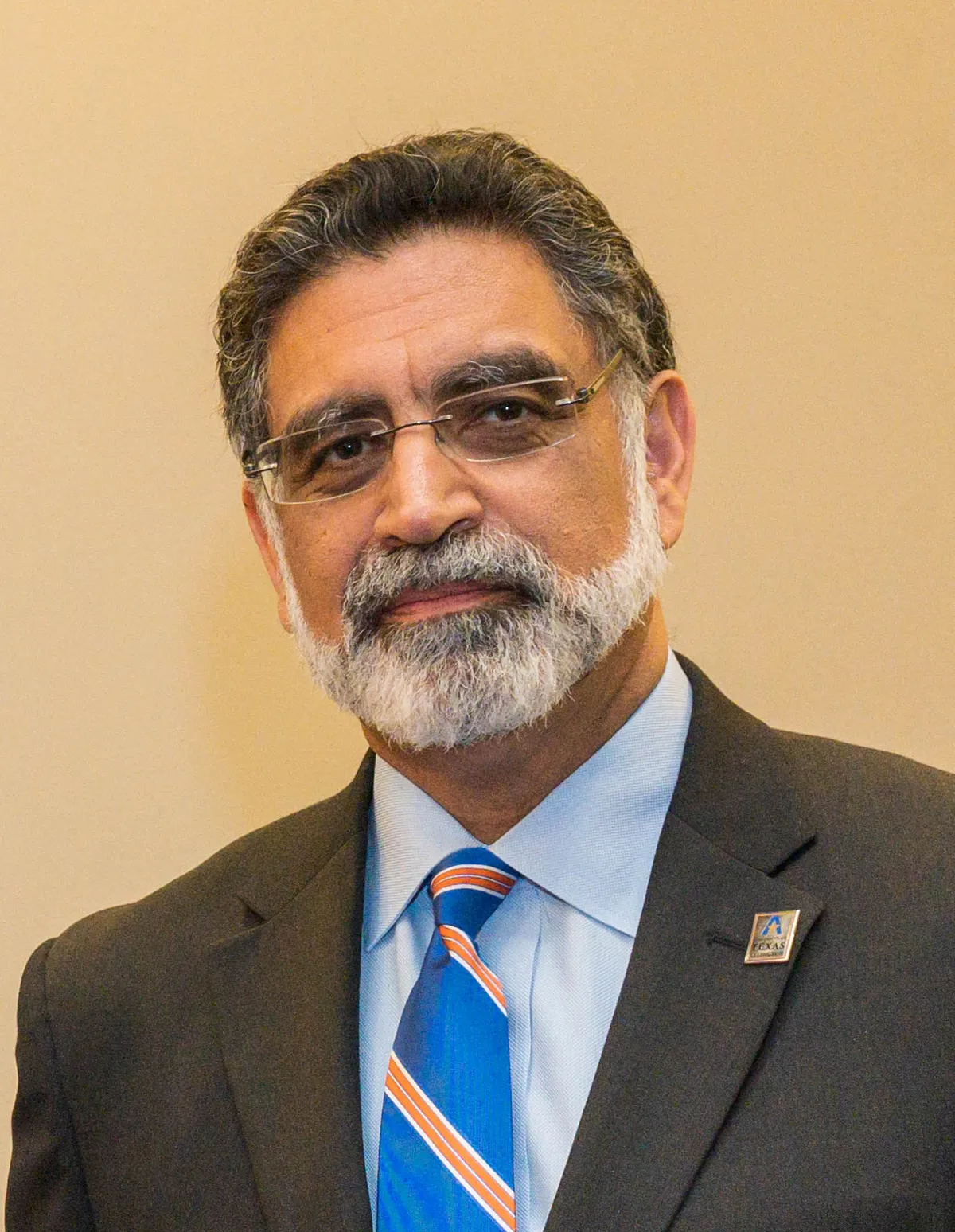 Professor Vistasp M. Karbhari