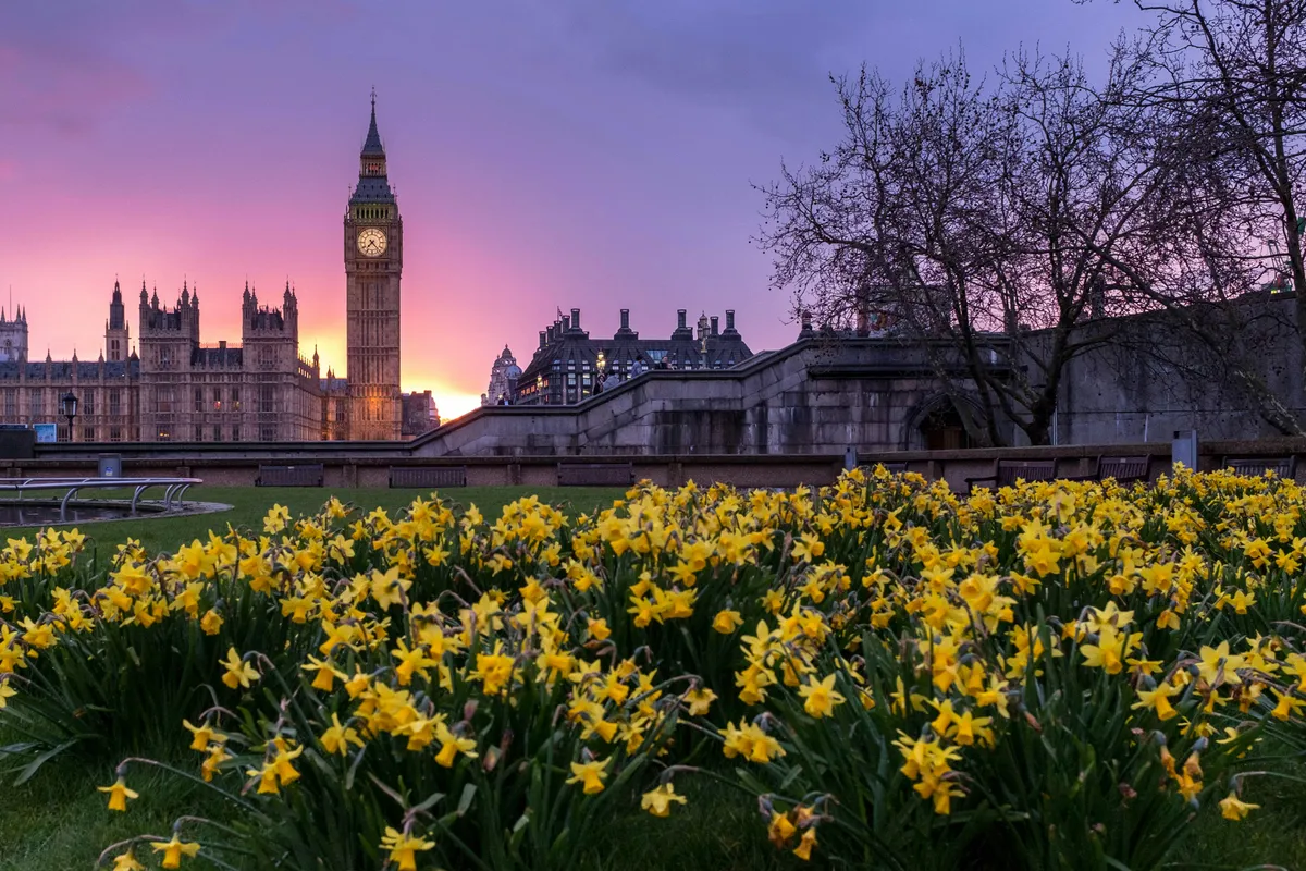Hear what attendees of the 2025 London event have to say...