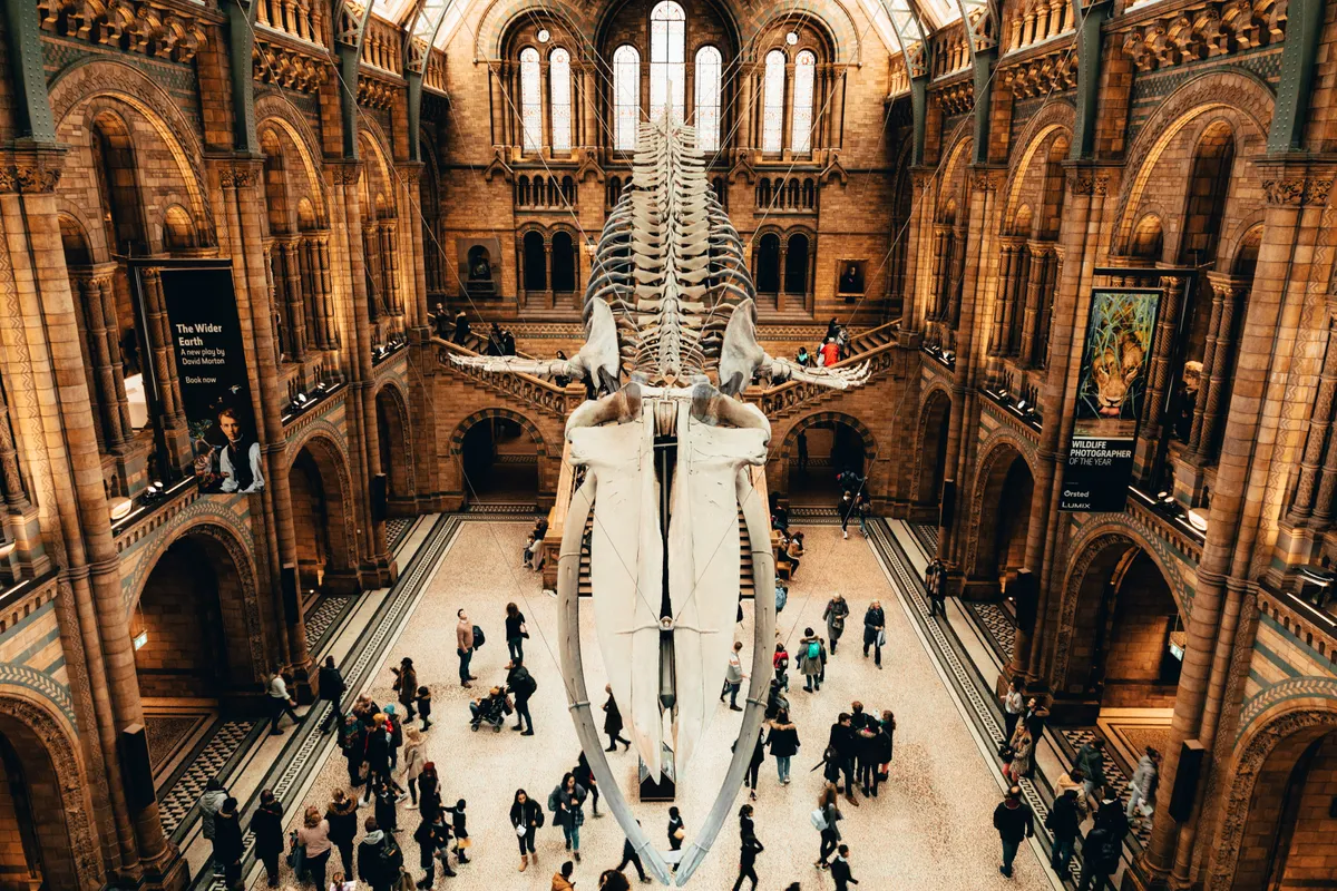 What to Expect from the Digital Preservation Summit 2026